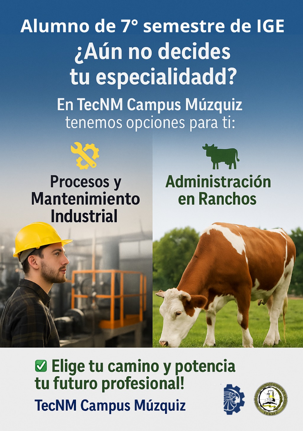Avisos importantes